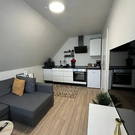 Charming House For 11 Persons In With Luxury Rooftop Deck & Free Parking Villa