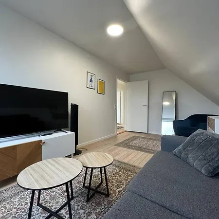Charming House For 11 Persons In With Luxury Rooftop Deck & Free Parking * Odense