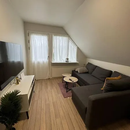 Charming House For 11 Persons In With Luxury Rooftop Deck & Free Parking Villa *