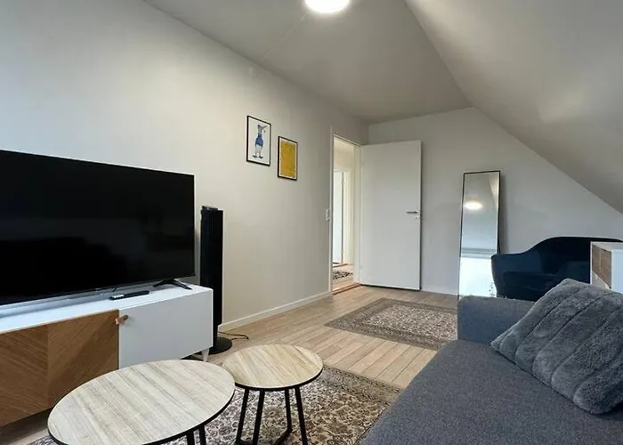 Charming House For 11 Persons In With Luxury Rooftop Deck & Free Parking * Odense