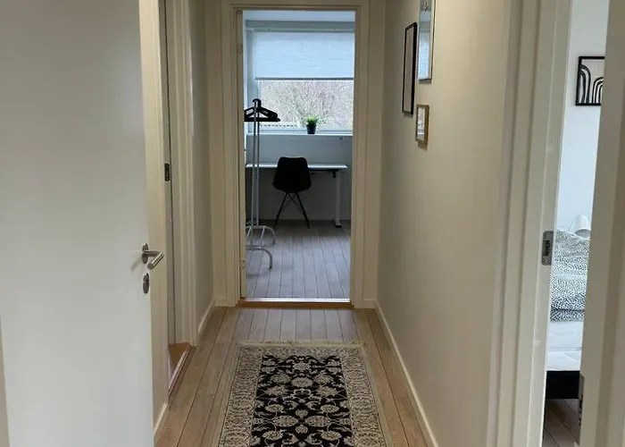 Charming House For 11 Persons In With Luxury Rooftop Deck & Free Parking Villa Odense